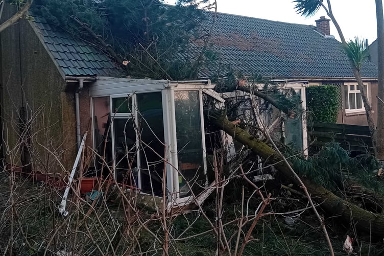 Fallen tree damage between Ballanard Field and the Baldwin Road last month