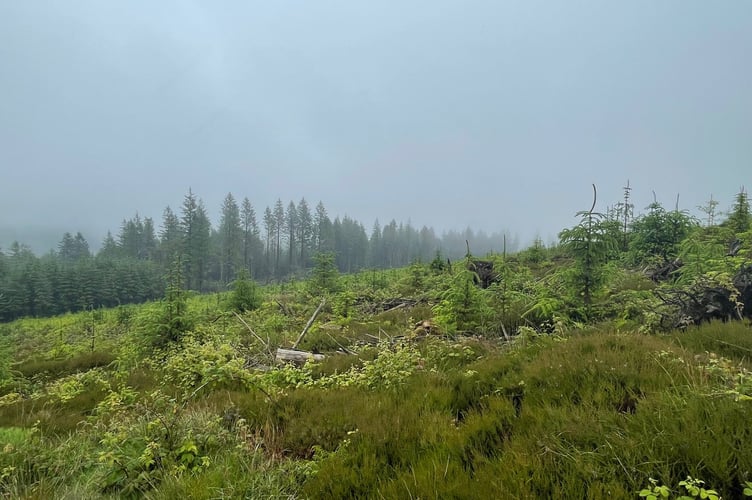 Even on a misty, wet day, South Barrule quarry is worth a visit