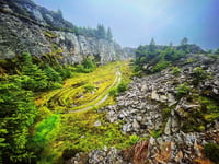 Nine pictures of stunning views at quarry reclaimed by nature