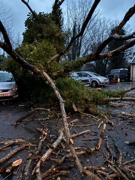 A tree down in the Queens Hotel, Laxey car park