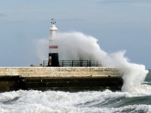 January weather dominated by cold, wet and windy conditions
