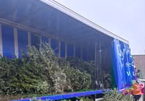 2026 Christmas tree recycling service raises over £15,500 for Hospice