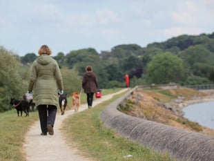 Dog walkers asked to clean up after their pets at island's reservoirs