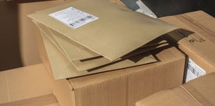 Delivery issues resolved as Vinted reopens mailing option for sellers