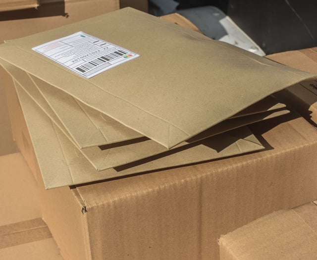 Delivery issues resolved as Vinted reopens mailing option for sellers