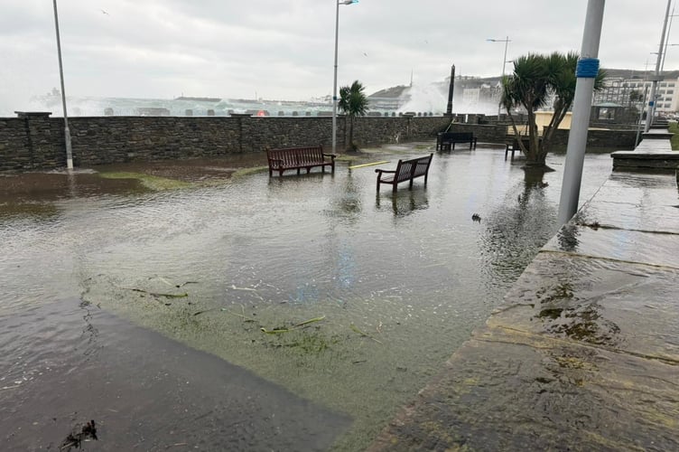 The Sunken Gardens certainly lived up to their name