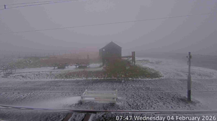 The scene at The Bungalow on Wednesday morning