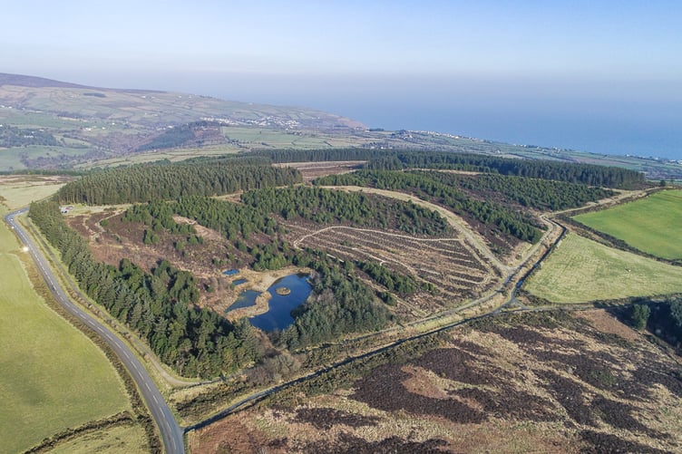 Conrhenny Plantation (Photo: DEFA)