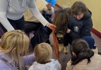 Meet the adorable mini-ponies bringing comfort to those in need across the island