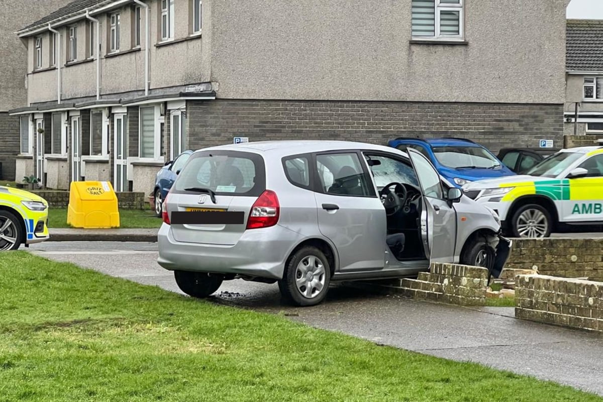 Emergency services at scene as car crashes into garden wall
