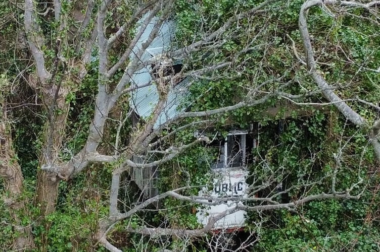 The Falcon Cliff lift is just visible between the vegetation