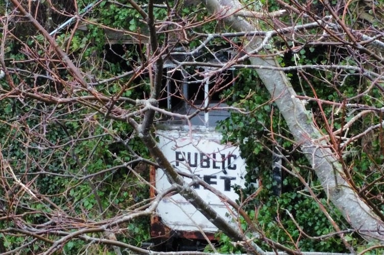 Falcon Cliff lift is slowly reclaimed by nature