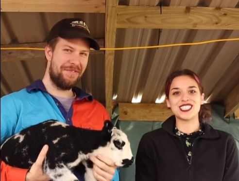 'Shear Madness' has been launched