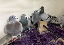 'Failed racers' given second chance after rescue on the Isle of Man