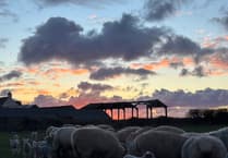 Farm outlines safety measures amid stomach bug concerns