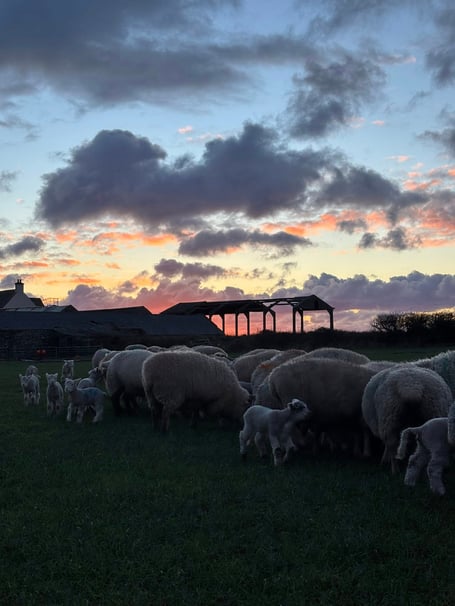 Ballakeenan Farm issued a statement after the Isle of Man’s Public Health department urged residents to take preventative measures against the gastrointestinal illness