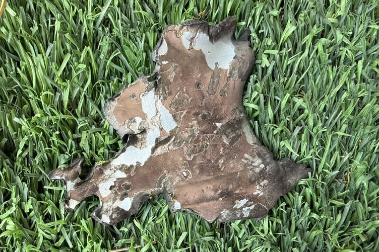 Shrapnel from a missile or drone fell in the garden of Maria Makonnen's home