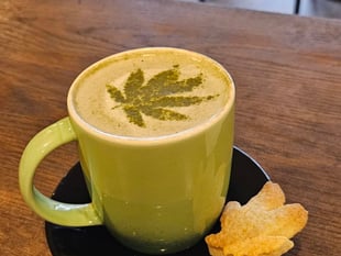 Isle of Man's first medicinal cannabis café admits ‘bumpy start