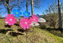 Hospice Isle of Man's 'Memory Meadow' tribute to return in July