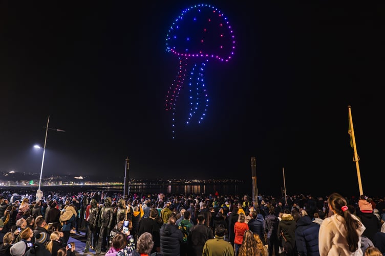 A jellyfish swims across Douglas harbour