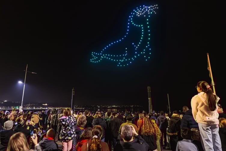 The crowds gave their 'seal' of approval for the free drone show