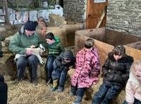 Pupils get hands-on lambing experience at island farm