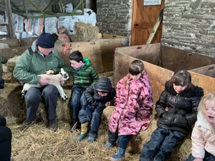 Pupils get hands-on lambing experience at island farm
