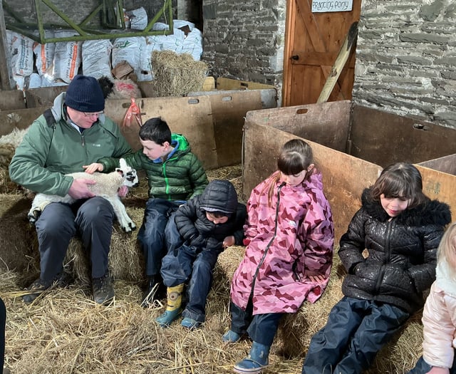 Pupils get hands-on lambing experience at island farm