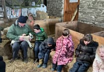 Pupils get hands-on lambing experience at Isle of Man farm