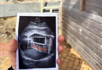 'Baby Gelatory' set to open in the Isle of Man this summer