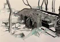 New art exhibition inspired by Covid lockdown launches this weekend