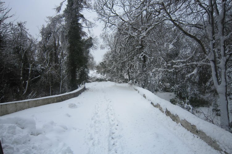 While the 2013 snowstorm caused chaos it also led to pretty landscapes