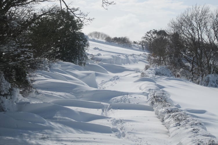The 2013 snowstorm changed the island's landscape