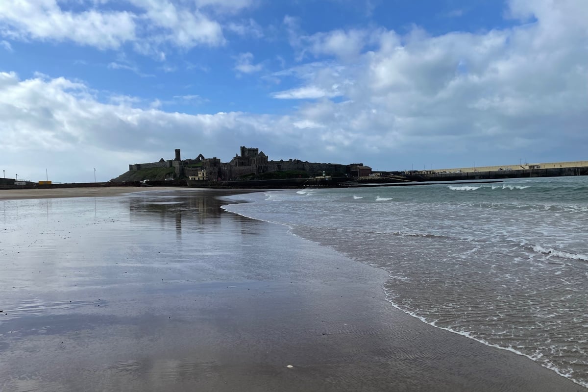 Beach Buddies to welcome King's Baton to Peel