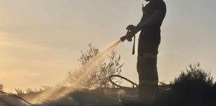 Island charities urge public to help prevent wildfires in dry weather