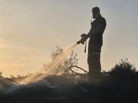 Island charities urge public to help prevent wildfires in dry weather