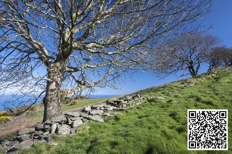 Scan the QR code or go to orsted.im/mooirvannin to find out more about the Mooir Vannin Offshore Wind Farm project