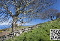 How offshore wind farm plan fits into the island’s green future