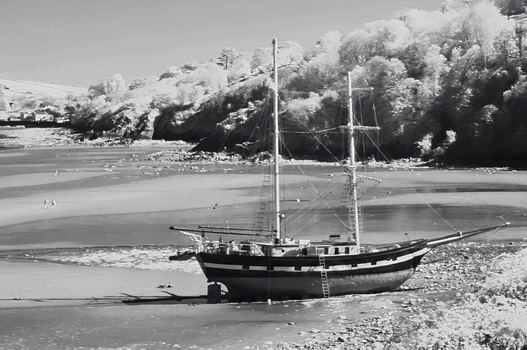 This infrared image of the La Malouine was captured by Bob Servante using a converted camera. The foliage and seaweed in the photo appears in pale tones while the water is rendered in darker shades due to differences in reflectivity