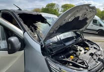 Fire crews tackle van blaze