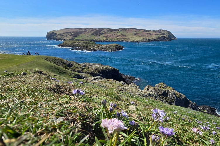 The Calf of Man bathed in the April sun (Photo: Sue Furner)