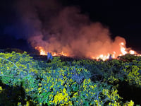 Emergency crews respond to gorse fire and serious crash within hours