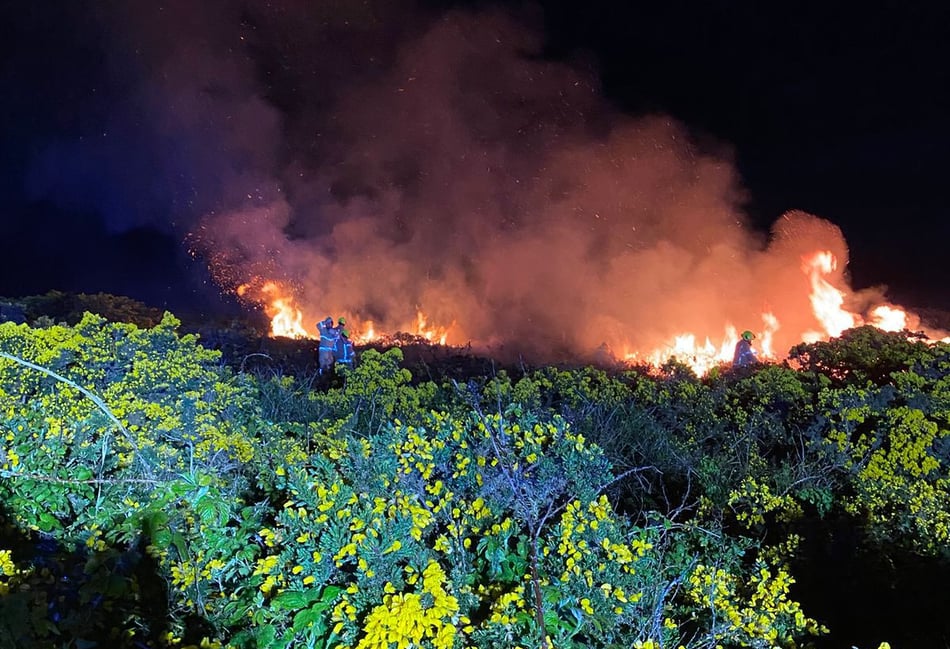 Emergency crews respond to gorse fire and serious crash within hours