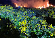 Emergency crews respond to gorse fire and serious crash within hours