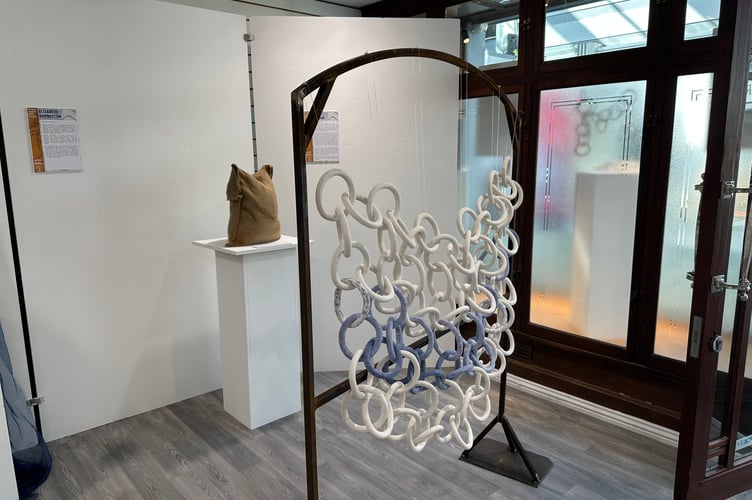 Amy Cookson's piece is a carefully curated and portrays the cycle of a medical condition and it's effects over a period of time
