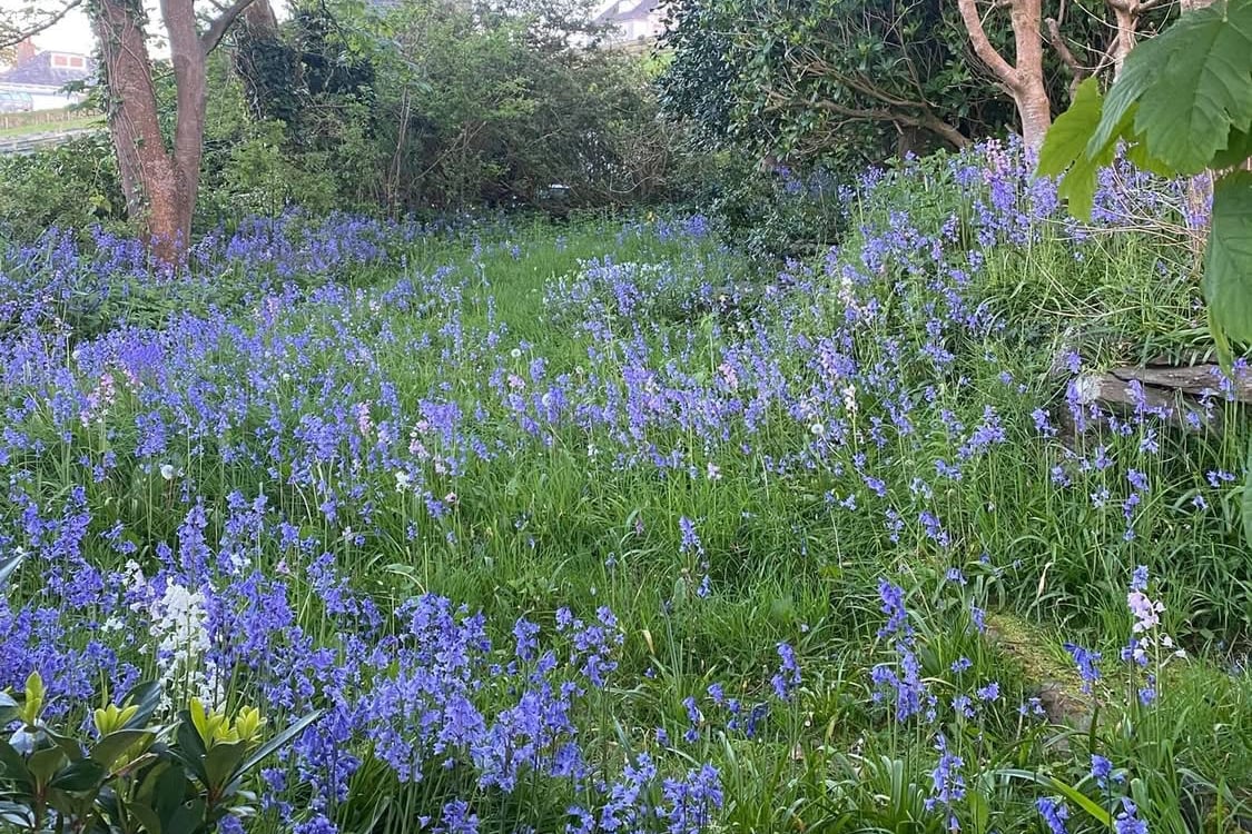 David Cretney column: Some of my favourite walks around our lovely island