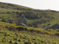 Countryside home approved despite concerns over 'poor design'
