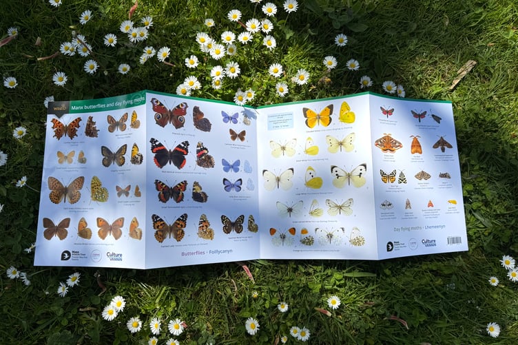 The dedicated fold-out guide to Manx butterflies