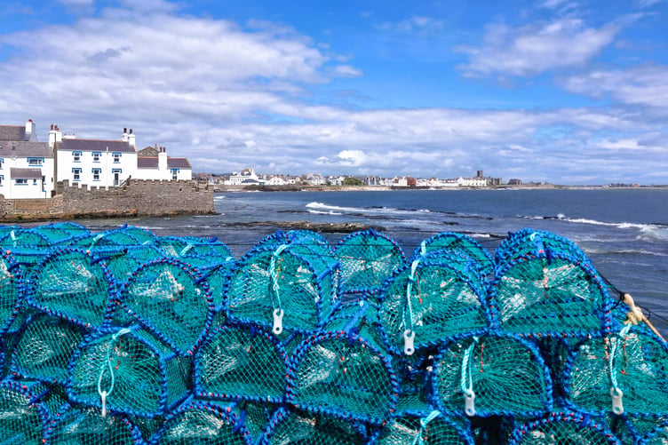 Castletown by Janette Phair