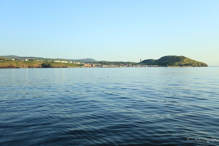 The fin of the basking shark peeps above the water surface in Peel bay